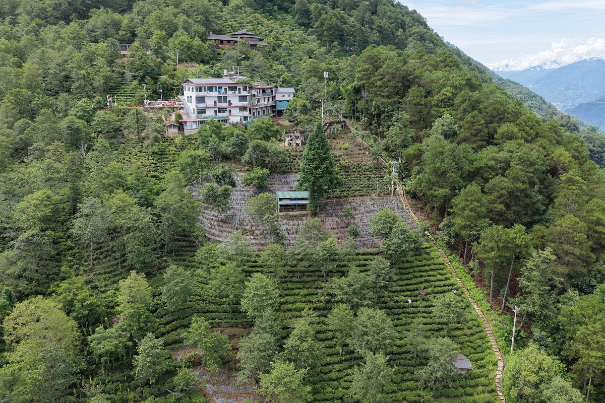 村风采