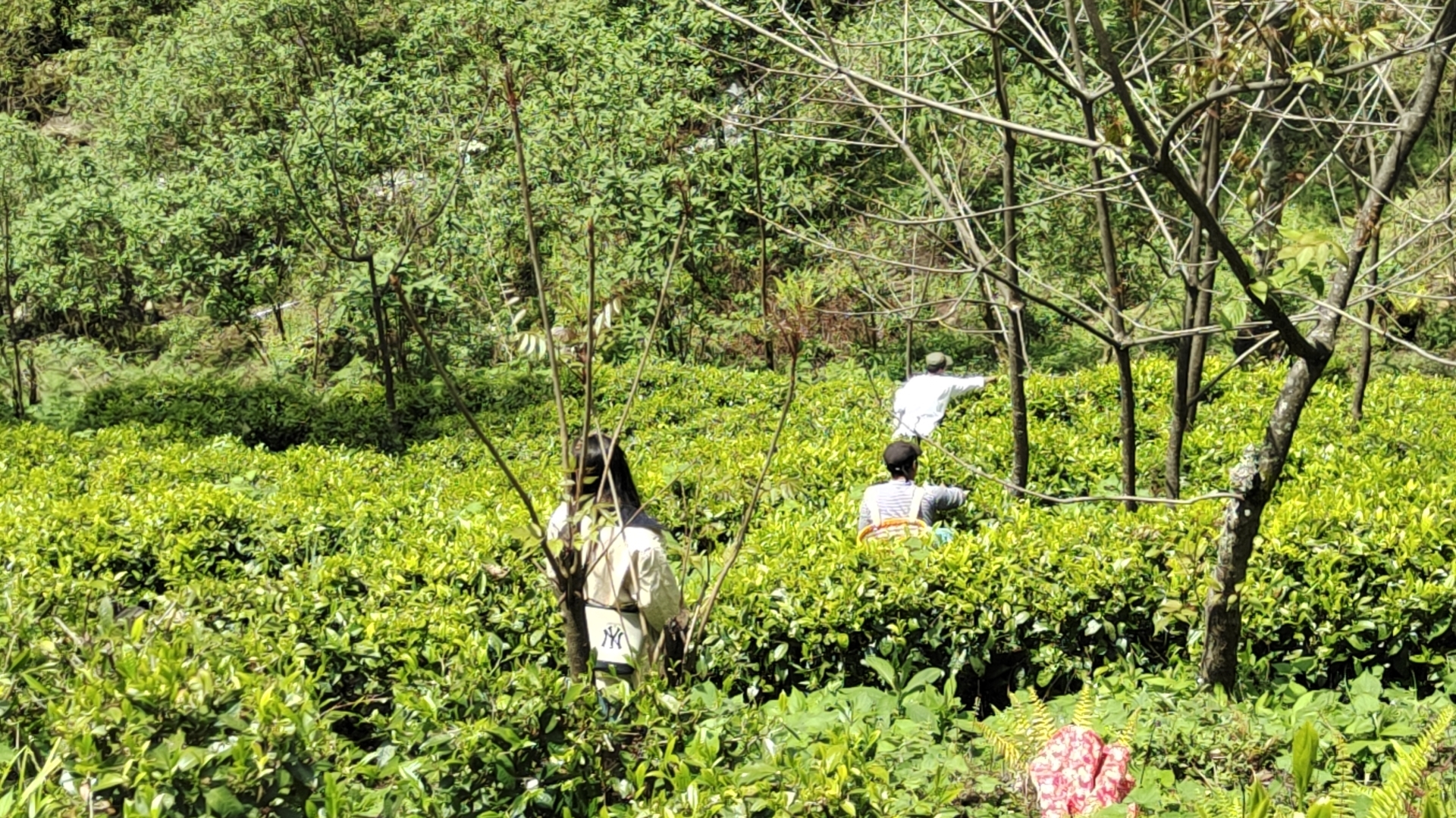 村风采