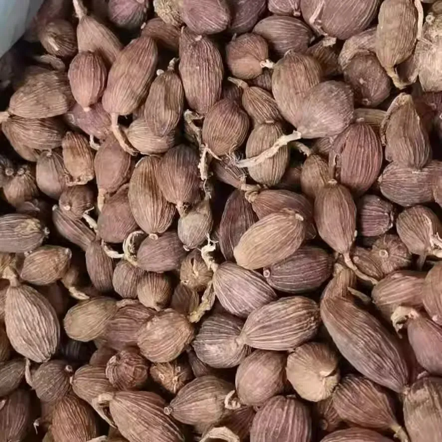 水洗环保草果
